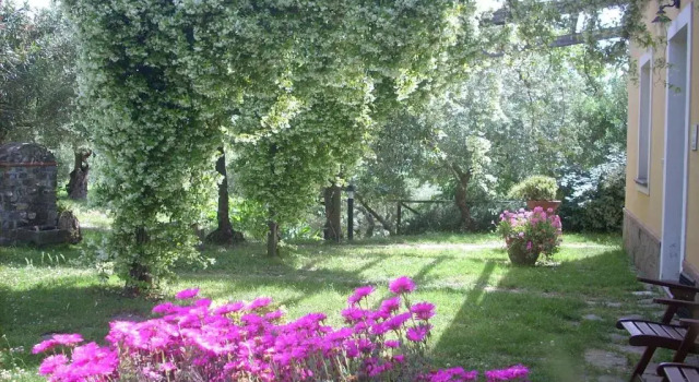 Апартаменты Standard Agriturismo i Moresani
