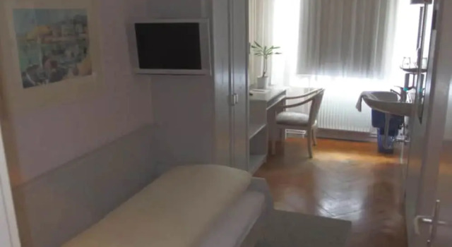 Одноместный номер Standard Hotel Sonne