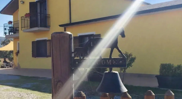 Zio Domenico