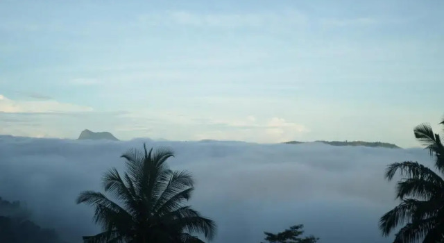 Номер Standard High View Homestay