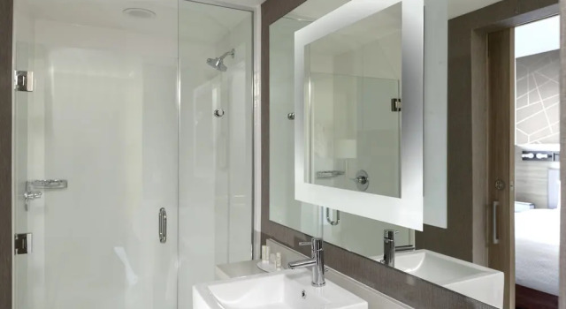 Двухместный люкс SpringHill Suites by Marriott Denver Tech Center