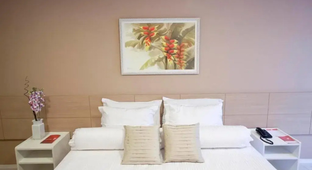 Двухместный номер Standard Grande Hotel Itaguaí