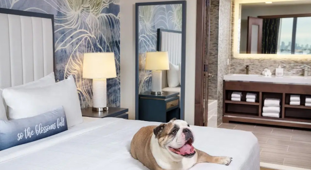 Люкс c 1 комнатой Hotel Indigo Flushing - LaGuardia by IHG