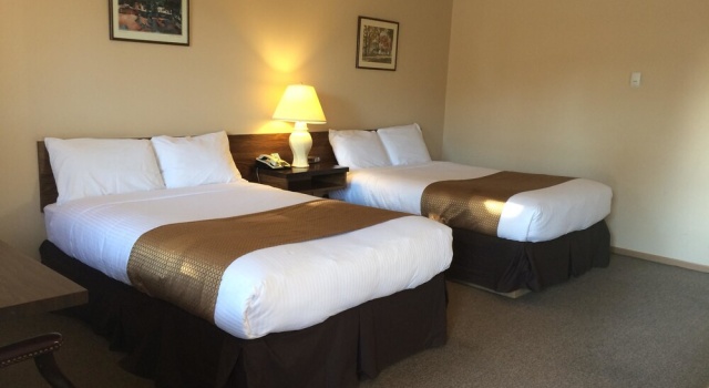 Standard Vierer Zimmer Siesta Motel