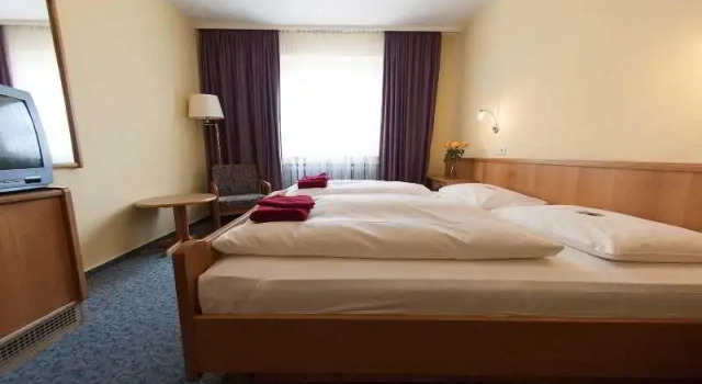 Номер Standard Tagungshotel Höchster Hof