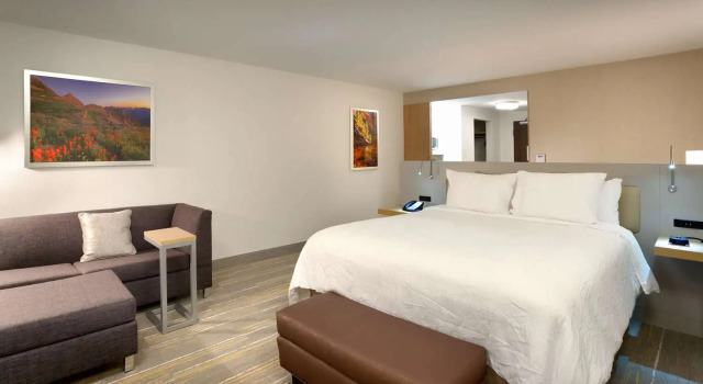 Двухместный номер Premium Hilton Garden Inn Lehi