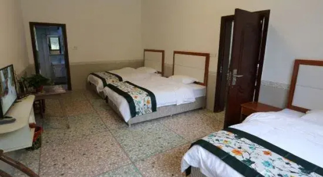 Komfort Suite Bamboo Forest Hostel