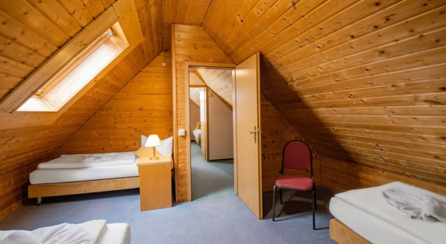Шестиместный люкс Hotel garni Zwickau-Mosel
