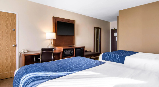 Четырёхместный номер Standard Comfort Inn & Suites