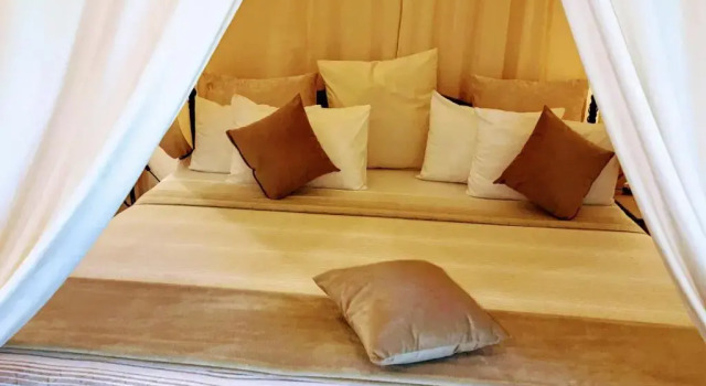 Люкс Superior Pink Flamingo Boutique Hotel