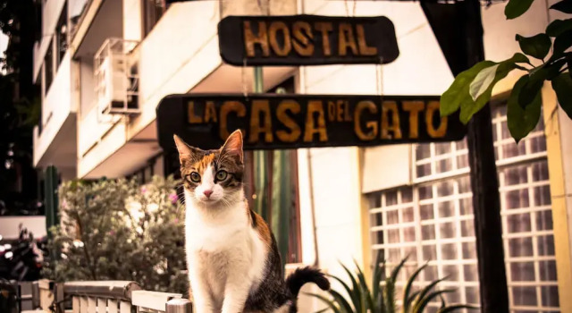 Hostal Casa del Gato - Hostel, Rezervovat Hostel Hotely v Cali s parkováním, Parkování