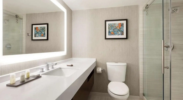 Двухместный люкс Executive Embassy Suites by Hilton Chicago Lombard
