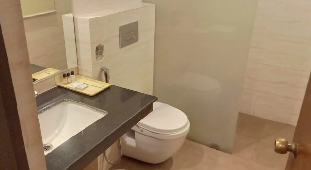 Двухместный номер Deluxe Hotel Pacific Dehradun