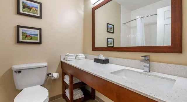 Люкс Comfort Suites Keeneland