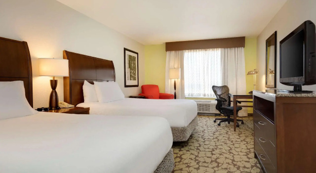 Четырёхместный номер Standard Hilton Garden Inn Hoffman Estates