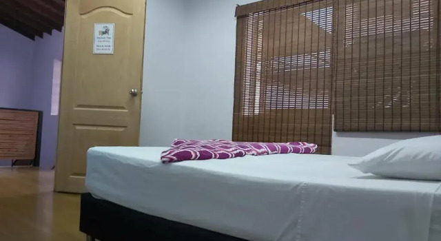 Purple Monkey Hostel, Book Hostel Cheap Hotels in Antioquia