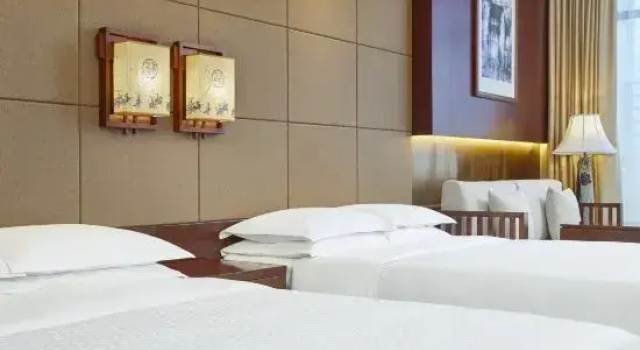 Номер Deluxe Four Points By Sheraton Danzhou
