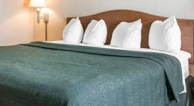 Номер Standard Quality Inn & Suites Monroe
