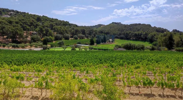 Студия Studio L'Etoile Provençale