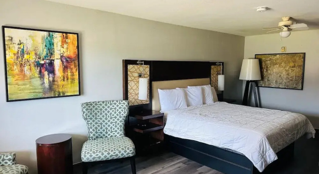 Одноместный номер Deluxe Executive Inn & Suites West Columbia