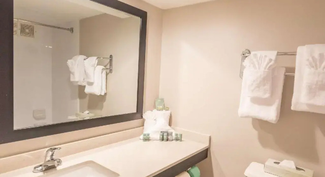 Двухместный номер Deluxe SureStay Plus Hotel by Best Western Lehigh Valley