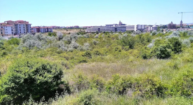 Люкс Baratero Mar Nero Apartments