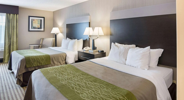 Четырёхместный номер Standard Comfort Inn Camden