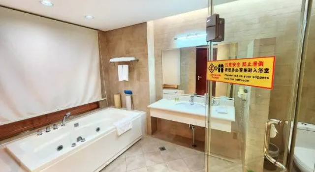 Двухместный люкс Elegance Hotel Tianjin