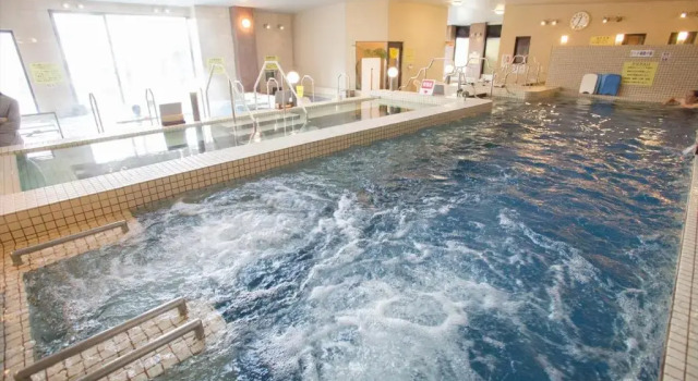 Номер Standard Kur and Hotel Shinshu