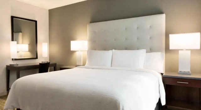 Одноместный люкс с 2 комнатами Embassy Suites by Hilton Greenville Downtown Riverplace