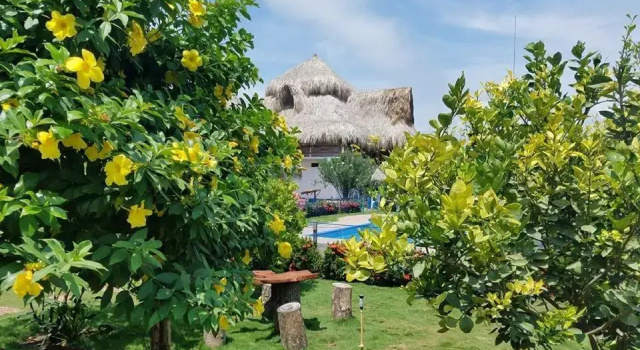Номер Standard Palomino Breeze Hostal