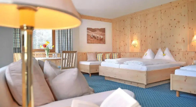 Номер Standard Natur Resort RISSBACHER