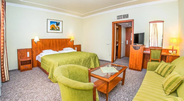 Двухместный номер Standard с балконом Hotel Silver