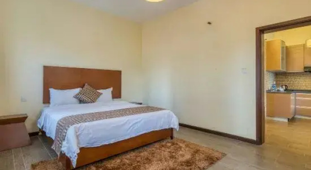 Люкс Executive c 1 комнатой Fenghuang Zhihui Apartment Hotel (Phoenix Regimen Hotel)