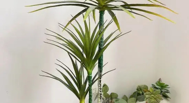 "The Land of the Forest" apartment hotel, Rezerwuj Apartament Hotele w Shenzhen z parkingiem, Parking