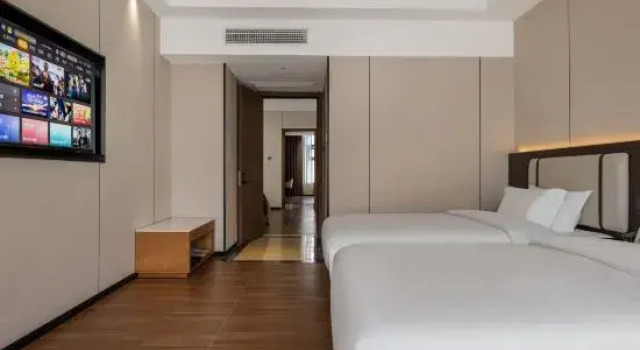 Suite Business Wugang Hotel