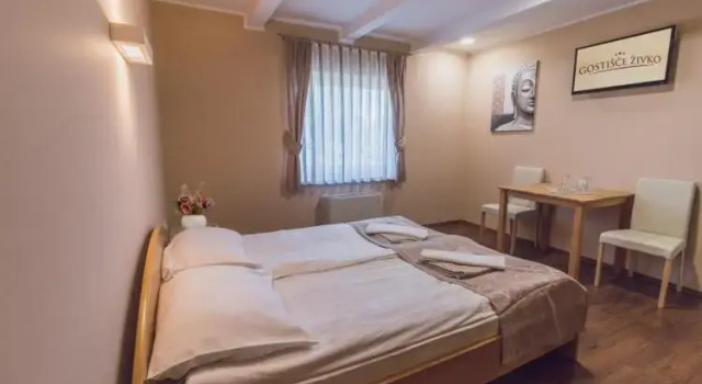 Номер Standard Guesthouse Živko