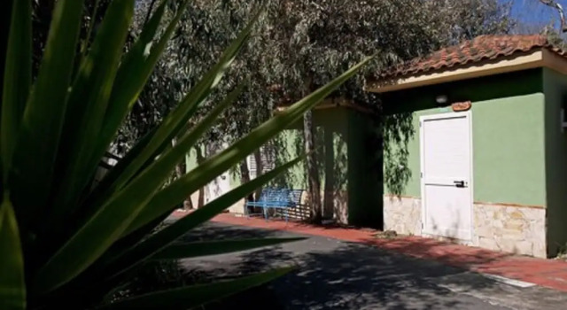 Бунгало Economy Villaggio Albergo Internazionale La Plaja