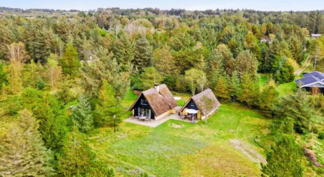 "Gorjan" - 1.2km from the sea in NW Jutland, Rezervovat Hotel Saltum 