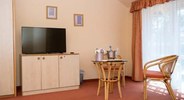 Номер Standard Termálhotel Martfű