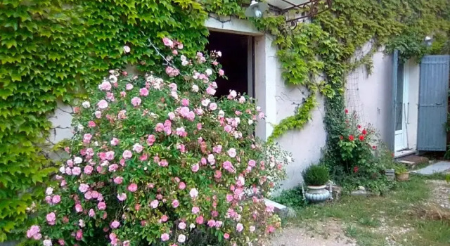 Le Domaine de Belle (Adults Only)