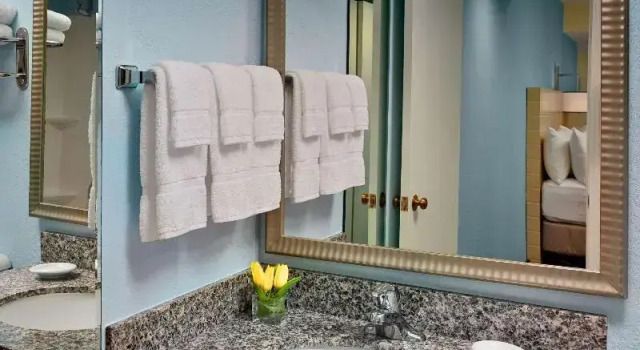 Люкс с 2 комнатами Sonesta ES Suites Auburn Hills Detroit