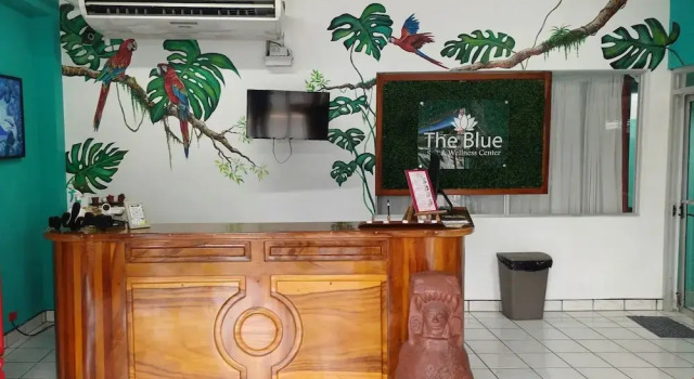 The Blue Suites & Spa