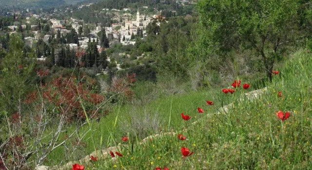 Коттедж The Nest - A Romantic Vacation Home in Ein Kerem - Jerusalem