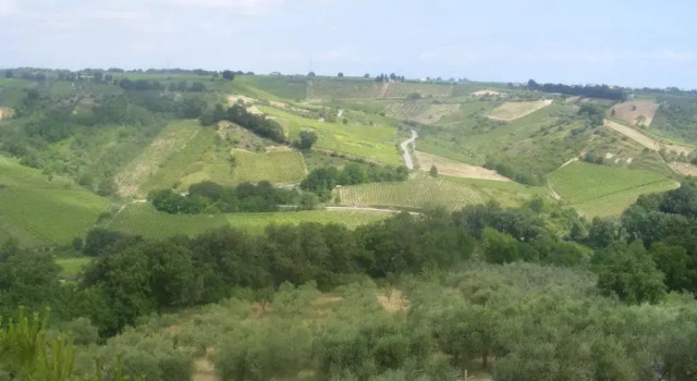 Четырёхместный номер Standard Agriturismo Trivilini