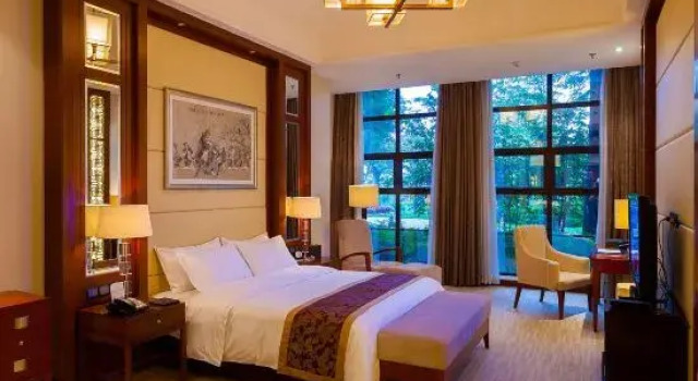 Люкс Executive Zigong Tanmulin Hotel