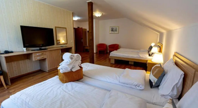 Номер Standard Pension Bella Vista