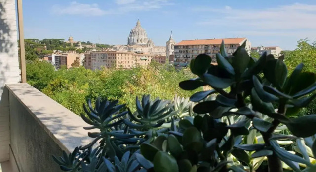 Люкс с видом на город Delmirani's Book Apartments - Vatican View