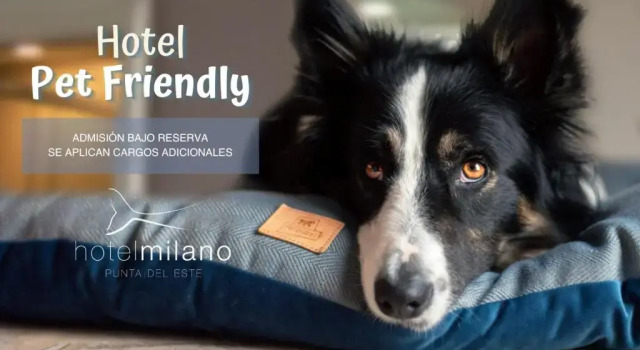 Двухместный номер Standard Hotel Milano
