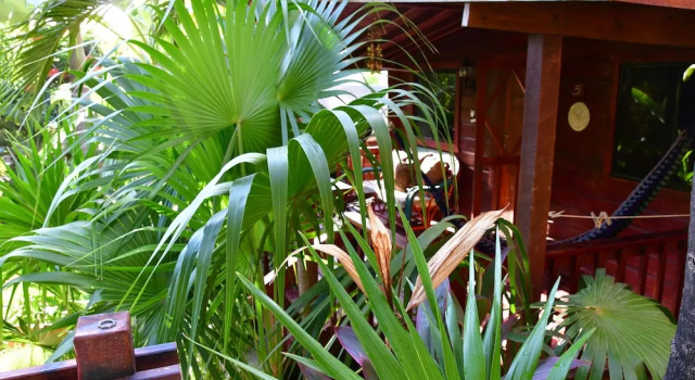 Бунгало Superior West Bay Lodge and Spa